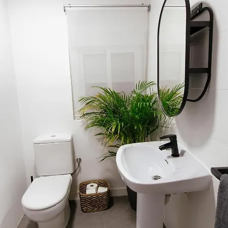 Koala Hostel