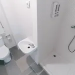 Koala 호스텔